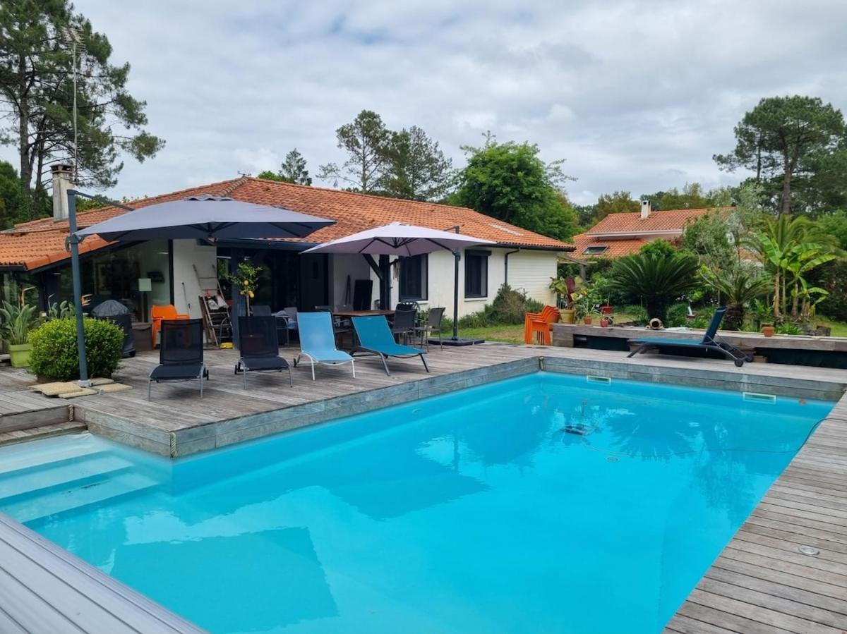 House With Heated Pool And Jacuzzi Villa Soorts-Hossegor Exterior photo