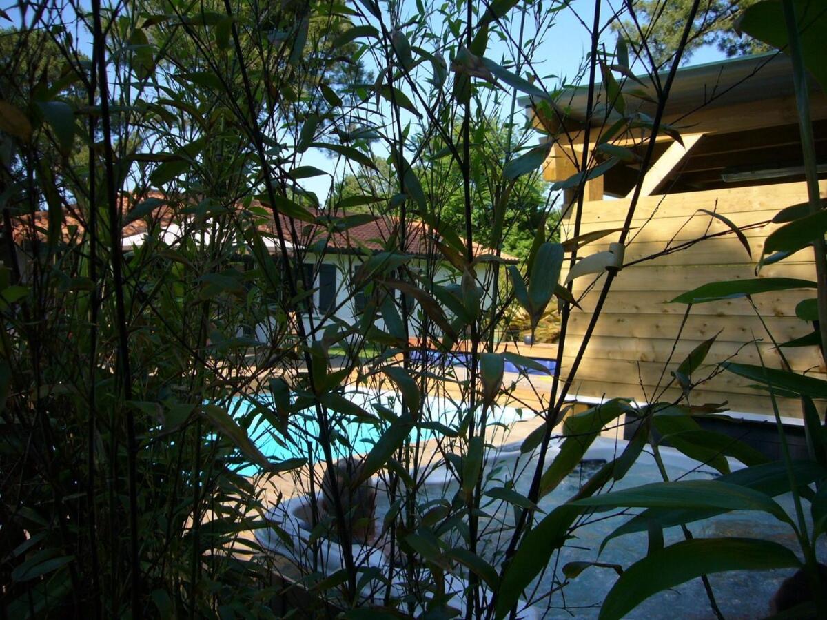 House With Heated Pool And Jacuzzi Villa Soorts-Hossegor Exterior photo